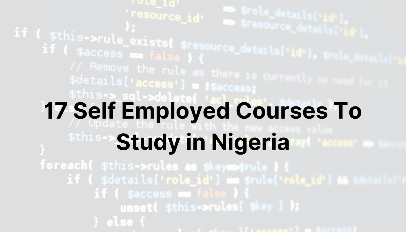 Read more about the article 17 Lucrative Self Employed Courses to Study In Nigeria